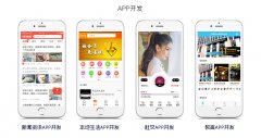 APP开发软件商城定制作
