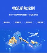 仓储物流软件出入库数据库IT开发定制